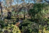37  Fraser Street, York, WA 6302-Image