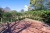 37 Georges Road, The Patch, Vic 3792-Image