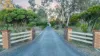 37 Greenwood Road, Gerogery, NSW 2642-Image