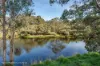 37 Greys Hill Road, Bridgetown WA 6255-Image