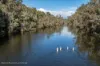 37 Greys Hill Road, Bridgetown WA 6255-Image