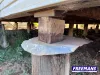 37 Haly Street, Kingaroy, Qld 4610-Image