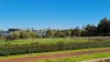 37 Hubert Road, Maylands, WA 6051-Image