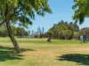 37 Hubert Road, Maylands, WA 6051-Image