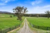 37 Kalatha Creek Road, Glenburn, Vic 3717-Image