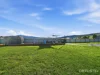 37 Lachlan Court, Brighton, Tas 7030-Image