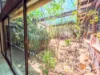 37 Lackman Terrace, Braitling, NT 0870-Image