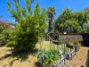 37 Lackman Terrace, Braitling, NT 0870-Image