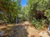 37 Lackman Terrace, Braitling, NT 0870-Image