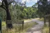37 Lockhart Drive, Rosebud, Vic 3939-Image