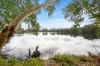 37 Mariposa Gardens, Success, WA 6164-Image