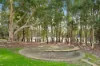37 Mariposa Gardens, Success, WA 6164-Image
