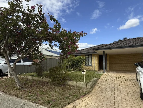 37 Mccubbin Loop, Seville Grove, WA 6112 - For Rent