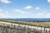 37 Morella Crescent, Cape Jervis, SA 5204-Image