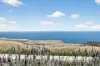 37 Morella Crescent, Cape Jervis, SA 5204-Image
