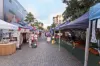 37 Normanby Terrace, Kelvin Grove, Qld 4059-Image