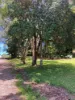 37 North Street, Eungella, Qld 4757-Image
