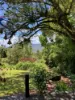 37 North Street, Eungella, Qld 4757-Image