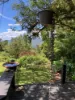 37 North Street, Eungella, Qld 4757-Image