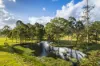 37 Pope Road, Mothar Mountain, Qld 4570-Image