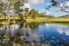 37 Pope Road, Mothar Mountain, Qld 4570-Image