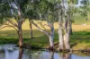 37 Pope Road, Mothar Mountain, Qld 4570-Image