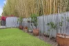 37 Retreat Crescent, Yandina, Qld 4561-Image