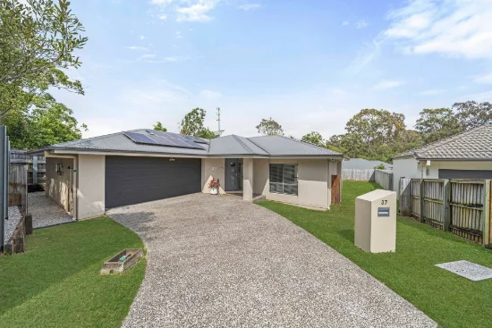 37 Riley Peter Place, Cleveland, Qld 4163