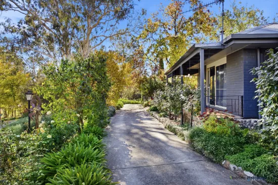 37 Riversdale Road, Alexandra, Vic 3714