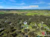 37 Rosebank Drive, Wallalong, NSW 2320-Image