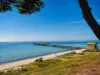 37 Seaview Avenue, St Leonards, Vic 3223-Image