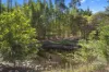 37 Settlement Road, Curra, Qld 4570-Image