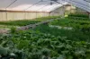 37 Settlement Road, Curra, Qld 4570-Image