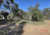 37 Sewell Street, Yealering, WA 6372-Image