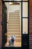 37 Sheldon Street, Norwood, SA 5067-Image