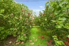 37 Springdale Road, Dingup, WA 6258-Image