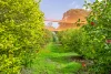 37 Springdale Road, Dingup, WA 6258-Image
