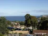 37 Stirling Avenue, Blackmans Bay, Tas 7052-Image