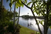 37 Swallow Street, Wurtulla, Qld 4575-Image