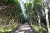 37 Swallow Street, Wurtulla, Qld 4575-Image