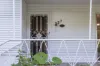 37 Taloumbi Street, Maclean, NSW 2463-Image