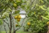 37 Thornton Avenue, Mayfield West, NSW 2304-Image