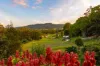 37 Tristran Parade, Mullumbimby Creek, NSW 2482-Image