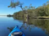 37 Urunga Parade, Boreen Point, Qld 4565-Image