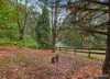 37 Wallaby Way, Pheasant Creek, Vic 3757-Image