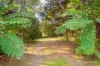 37 Whitegum Drive, East Warburton, Vic 3799-Image
