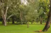 37 Woolnough Street, Daglish, WA 6008-Image