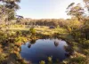 370 Soapy Flat Road, High Range, NSW 2575-Image