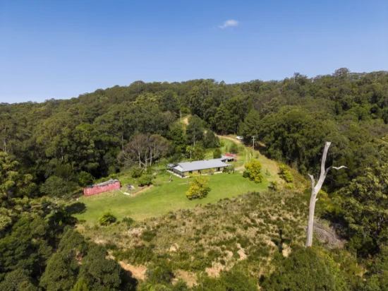 372 Mount Browne Road, Upper Orara, NSW 2450