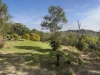 372 Mount Browne Road, Upper Orara, NSW 2450-Image